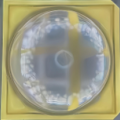 LM218QQA