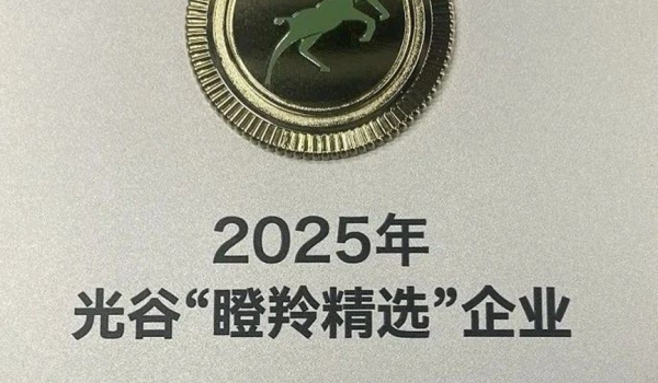 Good news | Youweixin was awarded the first "Gazelle Selection" enterprise in Optics Valley